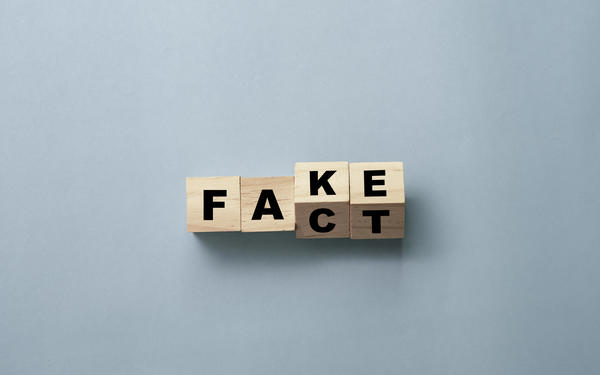 wooden blocks with text 'fake' and 'fact'
